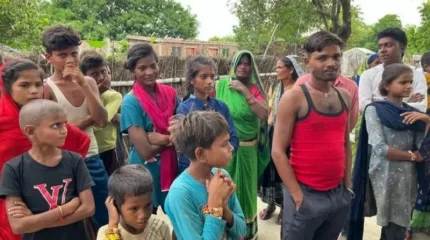 Волки уносят детей: хищники терроризируют деревни на севере Индии