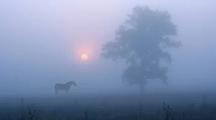 Штормовое предупреждение объявлено на большей части Казахстана в понедельник, 9 сентября