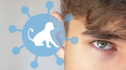 В Индии у пациента подозревают заражение оспой обезьян