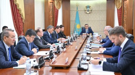 Сенаторлар АЭС салуға қатысты референдумға дайындық барысын талқылады