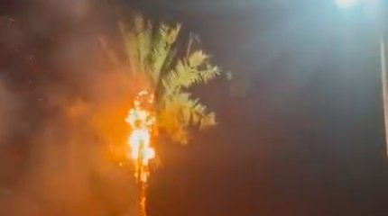 Искусственная пальма загорелась на набережной Актау в новогоднюю ночь