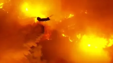 Калифорниядағы орман өрті: қазақстандық стипендиаттардың жағдайы қалай?