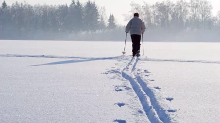 Метели и морозы до -27 на выходных обещают синоптики