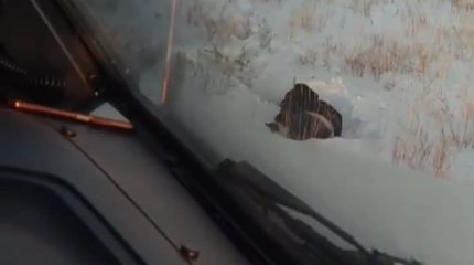 Девушка два дня плутала в костанайских степях