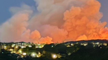 В Лос-Анджелесе введен комендантский час из-за мародеров