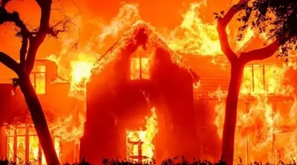 Лос-Анджелестегі орман өрті: мерт болғандар саны 16 адамға жетті