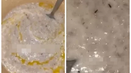 Ақтөбе облысындағы балабақшада балаларға таратылған ботқадан құрт шықты