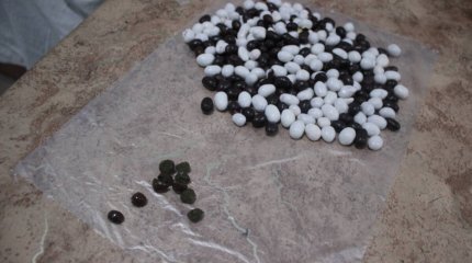 Гашиш в орехах пытались передать осужденному в карагандинскую колонию