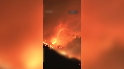 Ущерб от пожаров в Калифорнии оценивают в $ 275 млрд.