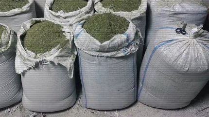 В Актау и Алматы ликвидированы каналы сбыта наркотических веществ