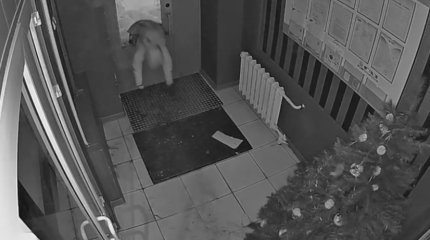 Мужчина в маске ограбил магазин в Усть-Каменогорске