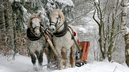 Метель, гололёд и сильный снег: штормовое предупреждение объявили почти по всему Казахстану