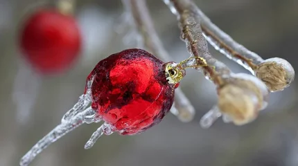 Штормовое предупреждение объявлено во всех 17 областях Казахстана в субботу, 18 января