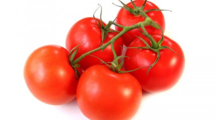 Қазақстандық қызанақ өндірушілер өнімдерін Ресейге экспорттай алады