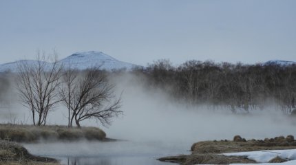 Гололёд, метели и туманы прогнозируют синоптики почти по всему Казахстану в понедельник, 20 января