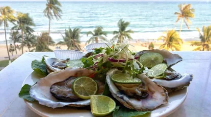 После устриц в Пхукете россиянка «поймала» холероподобного вибриона