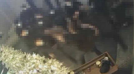 Охранники в Алматы "кошмарили" бизнесменов