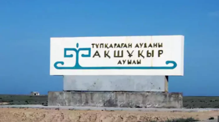 Собака напала на школьника в Акшукуре – мальчик в тяжелом состоянии