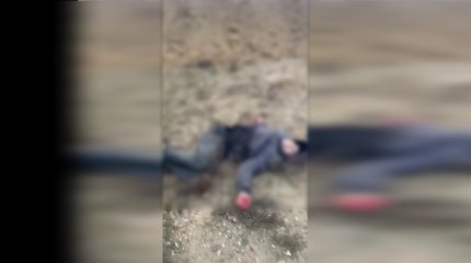 Маңғыстауда тапа-тал түсте оқушыны қаңғыбас ит талап тастады