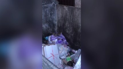 Көктемде Астанада егеурқұйрық қаптайды