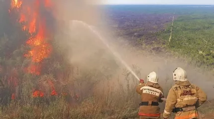 «Семей орманы» өрті: кінәлі азаматтар 7 жылға сотталды