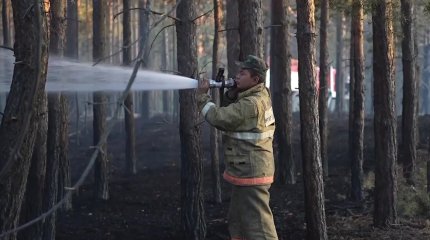 Орман өртіне кінәлілер сотталды