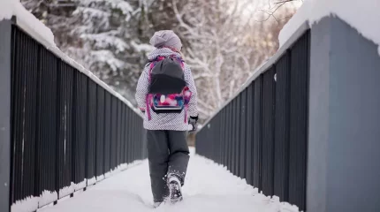 Қазақстанның бірнеше өңіріндегі оқушылар мен студенттер қашықтан оқуға көшті