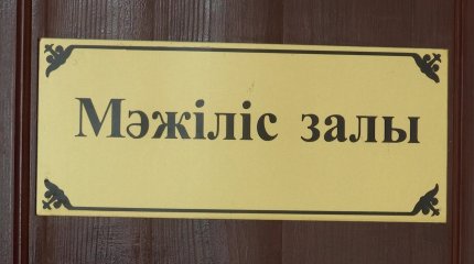 6 жасар жиенін қасақана өлтірген