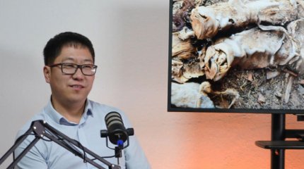 «XIII ғасырға тиесілі»: Моңғолияда мумия табылды