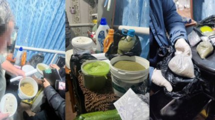 Қостанай облысында ауыл тұрғынынан аса ірі көлемде есірткі тәркіленді