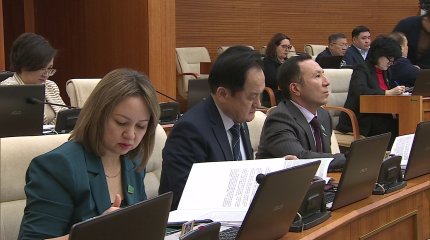 Кариес у 5 месячного ребенка и приписки: депутаты Мажилиса раскритиковали систему ОСМС