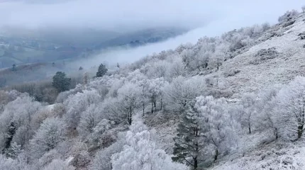"Тұман, боран, көктайғақ". Синоптиктер еліміздің 14 өңірінде дауылды ескерту жариялады