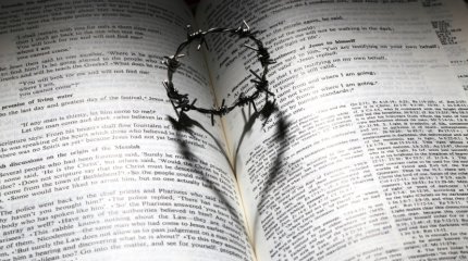 Напряженный день - у Близнецов; семейный бизнес идет в гору у Раков: гороскоп на 28 января