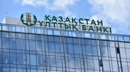 "Ұлттық валюта бағамының құбылмалылығы алаңдатады", - Президент