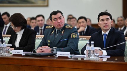 "Үкімет инвестиция саласындағы жұмысты күшейтуі қажет", - Президент
