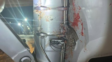 Самолёт столкнулся с птицей в аэропорту Уральска