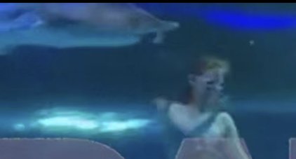 Огромная рыба едва не съела русалку-аниматора в океанариуме