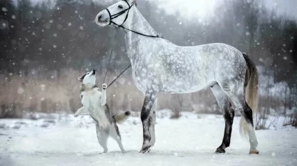 Сильные снегопады обрушатся на Казахстан к концу недели