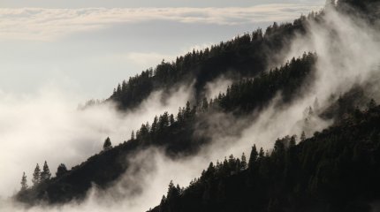 Угроза схода лавин: дорогу закрывают в ВКО