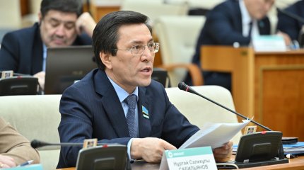 "Экономиканы әртараптандыру және цифрландыру қажет" - депутат