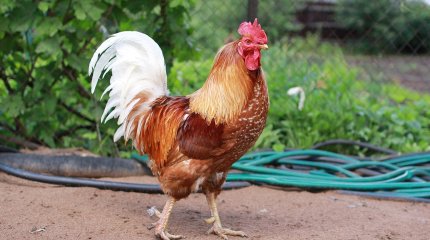 ТОП-5 привлекательных для туристов сёл определили в Казахстане