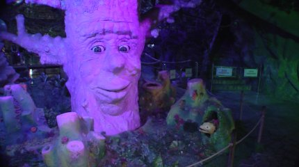 Астанада өнер мен мәдени мұраны біріктіретін жаңа жобаның тұсауы кесілді