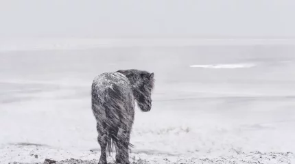 Морозы, усиление ветра, мокрый снег и гололед обещают синоптики в следующие три дня