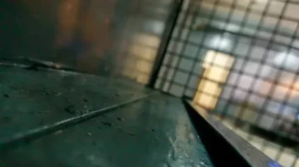 Мьянма Ұлыбританиядан тәуелсіздік алғанының бір жылдығын тұтқындарға жаппай рақымшылықпен атап өтті