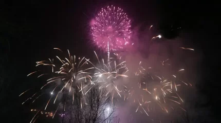 Жаңа жыл мерекесінде пиротехникалық отшашудан 63 адам зардап шекті