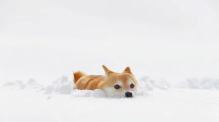 Резкую смену погоды прогнозируют синоптики