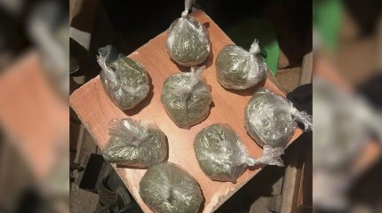 Қостанайда жеке кәсіпкер  жиһаз цехында есірткі сақтаған