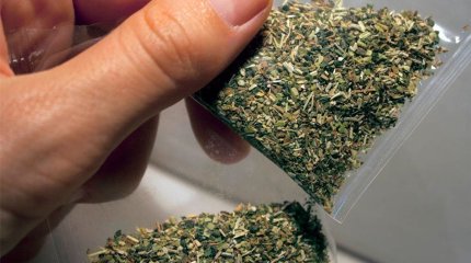 Былтыр барлығы сегіз мыңға жуық есірткі дерегі анықталды