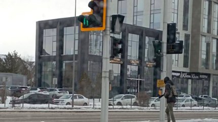 Несовершеннолетнего астанчанина задержали с игрушечным оружием