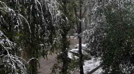 Таразда қар жауды